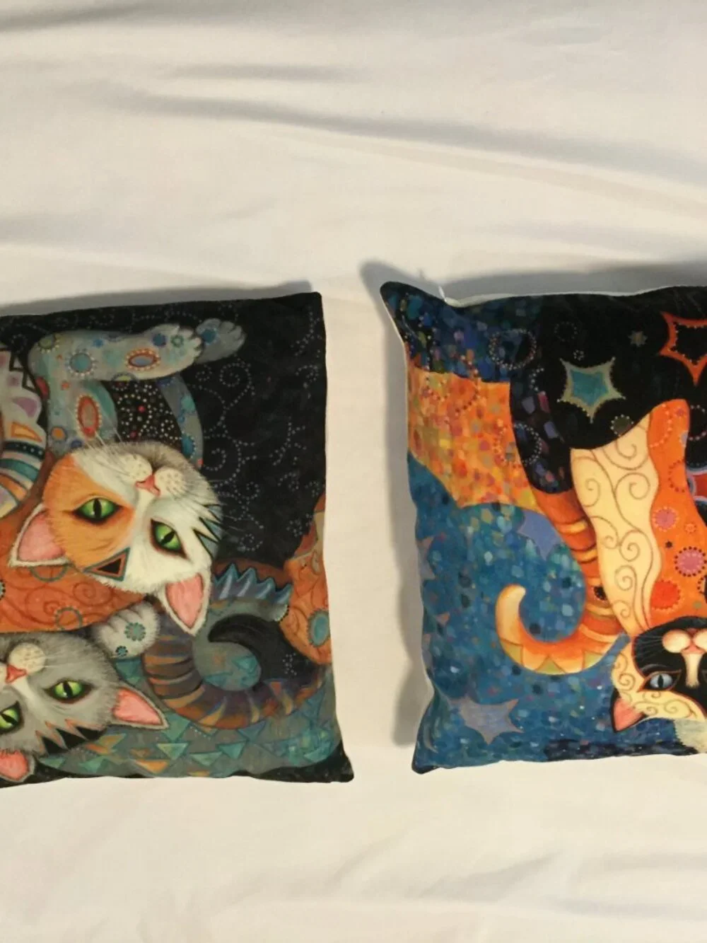 2 Cat Pillows 17